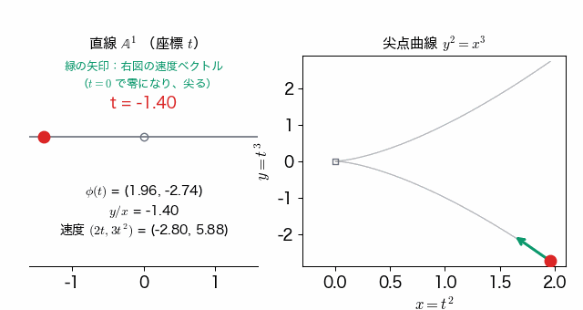 左に直線 A^1 上を動く点 t、右に尖点曲線 y^2=x^3 上を動く点 (t^2, t^3) と速度ベクトル。t が 0 に近づくと速度ベクトルが縮んで零になり、原点で尖る。