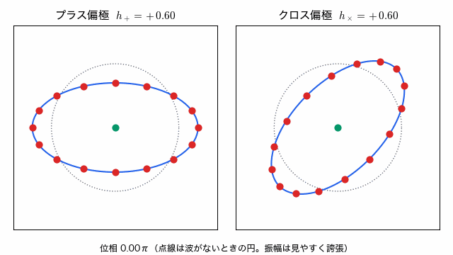 プラス偏極とクロス偏極のそれぞれで、自由粒子の輪が円、楕円、円、向きの入れ替わった楕円と周期的に変形する動画