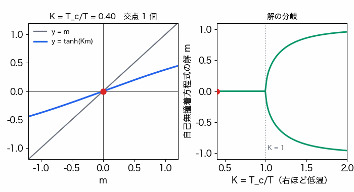 K を 0.4 から 2 まで増やしながら、y=m と y=tanh(Km) の交点を示す動画。K が 1 以下では交点は原点のみ、K が 1 を超えると正負の 2 つの交点が現れ、右図ではその解が K=1 でピッチフォーク型に分岐する。